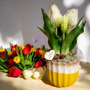 DEKOR TULIPÁN KASPÓBAN VÁLASZTHATÓ AJÁNDÉK TÁBLÁCSKÁVAL FEHÉR - Meska.hu