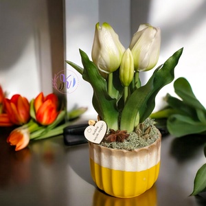 DEKOR TULIPÁN KASPÓBAN VÁLASZTHATÓ AJÁNDÉK TÁBLÁCSKÁVAL FEHÉR - otthon & életmód - dekoráció - virágdísz és tartó - csokor & virágdísz - Meska.hu