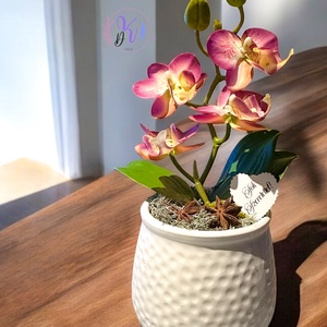 DEKOR ORCHIDEA KASPÓBAN MÁLYVA - otthon & életmód - dekoráció - virágdísz és tartó - csokor & virágdísz - Meska.hu