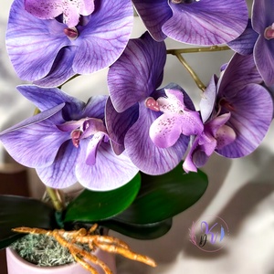 Dekor Orchidea Kaspóban Lila - otthon & életmód - dekoráció - virágdísz és tartó - csokor & virágdísz - Meska.hu