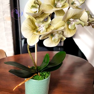 Dekor Orchidea Kaspóban Zöldes - Meska.hu