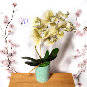 Dekor Orchidea Kaspóban Zöldes - otthon & életmód - dekoráció - virágdísz és tartó - csokor & virágdísz - Meska.hu