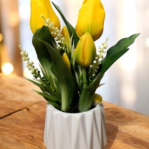 Nőnapi Dekor Tulipán Kaspóban, Otthon & Életmód, Virágdekoráció, Virágok, Virágcsokor, , MESKA