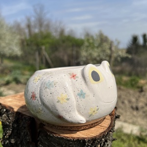 Kézzel festett békás tálka Béka rajongóknak� Virágmintás kerámia kaspó és tál (14x7 cm) - otthon & életmód - konyhafelszerelés, tálalás - tálalás - tányér & étkészlet - Meska.hu
