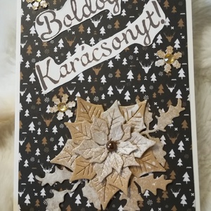 MIKULÁSVIRÁG natúr - 1 db képeslap - Meska.hu