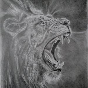 Grafika,  állatrajz A3- as méretben  - Meska.hu