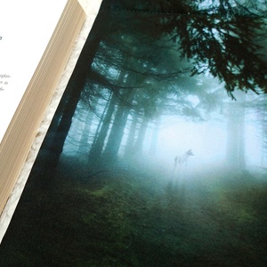 MYSTIC FOREST - Könyv Védő Tok, Könyvölelő, Könyvvászon - VÁLASZTHATÓ MÉRET!, Táska & Tok, Kézitáska & válltáska, Belső rendező, Varrás, Meska