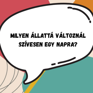 Beszélgetésindító kártyák-családi estékhez - játék & sport - táblajáték és kártyajáték - kártya - Meska.hu