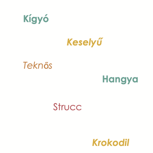 Kincskeresés, kaland és csapatmunka gyerekeknek!  Állatok tematika, 9-12 éves gyerekeknek - játék & sport - készségfejlesztő és logikai játék - logikai játékok - Meska.hu