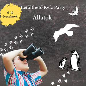 Kincskeresés, kaland és csapatmunka gyerekeknek!  Állatok tematika, 9-12 éves gyerekeknek, Játék & Sport, Készségfejlesztő és Logikai játék, Logikai játékok, , MESKA