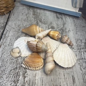 Kagyló csomag, DIY (Csináld magad), Egységcsomag, Gyertya-, mécseskészítés, Virágkötés, MESKA