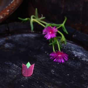 Tulipán bross, kitűző  - tűzzománc  - ékszer - kitűző és bross - Meska.hu