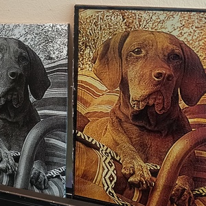 Gravírozott akril vászon kép 20x20cm - művészet - festmény - akril - Meska.hu