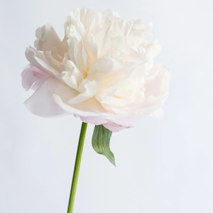 Ciao Bella Diffúzor - otthon & életmód - gyertya, illat, aroma - párologtató - Meska.hu