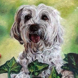 HÁZI KIS KEDVENCEK  KÉSZÍTÉSE KARÁCSONYI AJÁNDÉKNAK!, Művészet, Grafika & Illusztráció, Ceruzarajz, Fotó, grafika, rajz, illusztráció, Festészet, MESKA