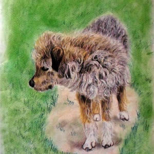 HÁZI KIS KEDVENCEK  KÉSZÍTÉSE KARÁCSONYI AJÁNDÉKNAK! - művészet - grafika & illusztráció - ceruzarajz - Meska.hu