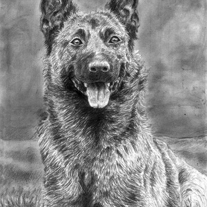 HÁZI KIS KEDVENCEK  KÉSZÍTÉSE KARÁCSONYI AJÁNDÉKNAK! - művészet - grafika & illusztráció - ceruzarajz - Meska.hu