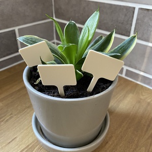 Növényjelölő, Otthon & Életmód, Ház & Kert, Szerszám & Eszközök, Mindenmás, MESKA