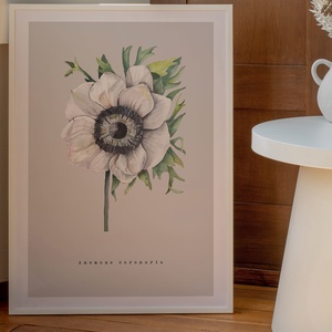 Fehér anemone (szellőrózsa) akvarell botanikai illusztráció A4-es méretben, Művészet, Festmény, Akvarell, Festészet, MESKA