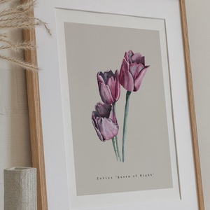 Lila tulipán akvarell botanikai illusztráció A4-es méretben, Művészet, Festmény, Akvarell, Festészet, MESKA