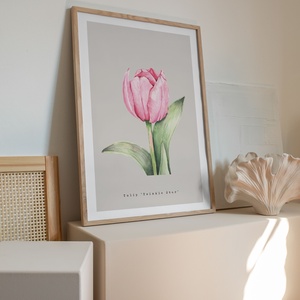 Rózsaszín tulipán akvarell botanikai illusztráció A4-es méretben - művészet - festmény - akvarell - Meska.hu Rózsaszín tulipán akvarell botanikai illusztráció A4-es méretben - művészet - festmény - akvarell - Meska.hu