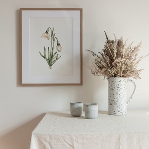 Hóvirág akvarell botanikai illusztráció A4-es méretben, Művészet, Festmény, Akvarell, Festészet, MESKA
