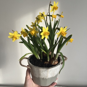 Tavaszi virágtál - közepes - otthon & életmód - virágdekoráció - virágdíszek - asztali virágdísz - Meska.hu