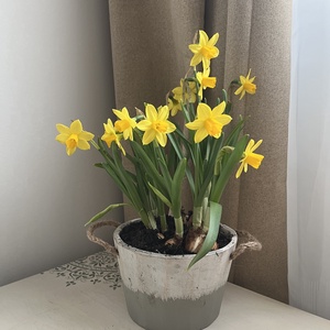 Tavaszi virágtál - közepes - otthon & életmód - virágdekoráció - virágdíszek - asztali virágdísz - Meska.hu