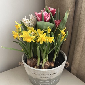 Tavaszi virágtál - nagy - otthon & életmód - dekoráció - asztal és polc dekoráció - asztaldísz - Meska.hu