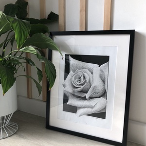 One Rose / tollrajz -giclée nyomat - művészet - grafika & illusztráció - egyéb rajzok - Meska.hu