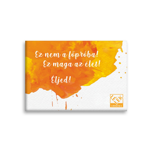 Léleklibikóka-Bátormágnes: Ez nem a főpróba..., Otthon & Életmód, Konyhafelszerelés, tálalás, Konyhai dekoráció, Hűtőmágnes, Mindenmás, MESKA