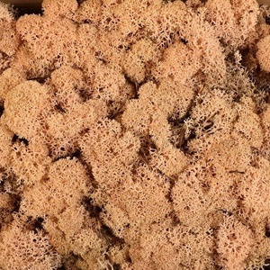 Bársonyos izlandi zuzmó - több színben 500gr/cs. - dekorációs kellékek - egyéb kellékek - Meska.hu Bársonyos izlandi zuzmó - több színben 500gr/cs. - dekorációs kellékek - egyéb kellékek - Meska.hu