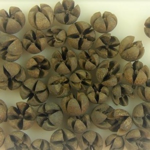 SZT-9032. Tulipán termés több színben   50gr/cs. - kellékek & szerszámok - dekorációs kellékek - egyéb kellékek - Meska.hu