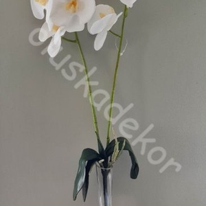 Orchidea, phalaenopsis, élethű, levéllel, légzőgyökér, 2 ág, REAL TOUCH, gumi - kellékek & szerszámok - dekorációs kellékek - egyéb kellékek - Meska.hu