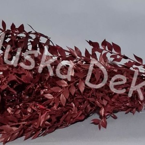 FN-7025. Ruscus, tartósított növény, 70-80cm több színben - kellékek & szerszámok - dekorációs kellékek - egyéb kellékek - Meska.hu