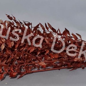 FN-7025. Ruscus, tartósított növény, 70-80cm több színben - kellékek & szerszámok - dekorációs kellékek - egyéb kellékek - Meska.hu