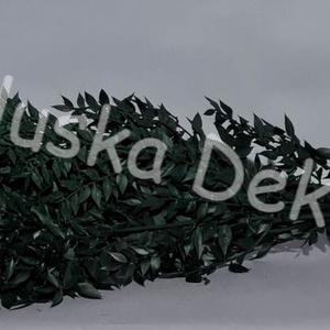 FN-7025. Ruscus, tartósított növény, 70-80cm több színben - kellékek & szerszámok - dekorációs kellékek - egyéb kellékek - Meska.hu