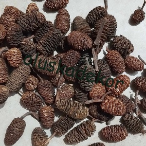 Éger, óriás, száraztermés, natúr, és színes, 20gr./cs. - Meska.hu