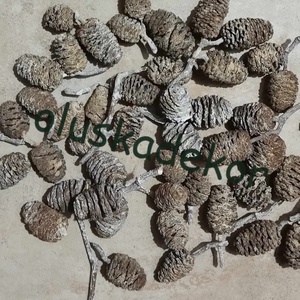 Éger, óriás, száraztermés, natúr, és színes, 20gr./cs. - kellékek & szerszámok - dekorációs kellékek - egyéb kellékek - Meska.hu