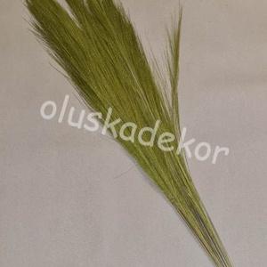 Tollseprű nád 3 féle színben - kellékek & szerszámok - dekorációs kellékek - egyéb kellékek - Meska.hu
