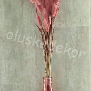 Lagurus, több színben, 70-80 szál/cs. - kellékek & szerszámok - dekorációs kellékek - egyéb kellékek - Meska.hu