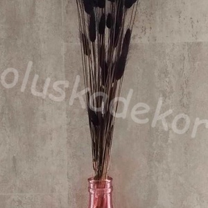 Lagurus, több színben, 70-80 szál/cs. - kellékek & szerszámok - dekorációs kellékek - egyéb kellékek - Meska.hu