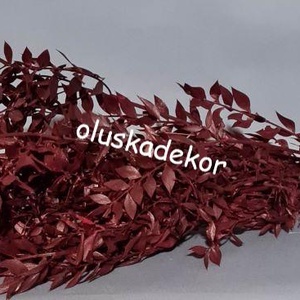 Ruscus, tartósított növény, - kellékek & szerszámok - dekorációs kellékek - egyéb kellékek - Meska.hu