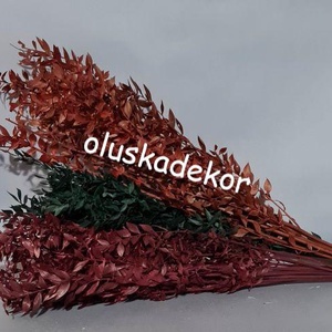 Ruscus, tartósított növény,, Kellékek & szerszámok, Dekorációs kellékek, Egyéb kellékek, Virágkötés, Mindenmás, MESKA