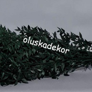 FN-7025. Ruscus, tartósított növény, 70-80cm több színben - dekorációs kellékek - egyéb kellékek - Meska.hu