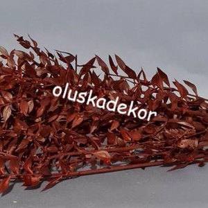 FN-7025. Ruscus, tartósított növény, 70-80cm több színben - dekorációs kellékek - egyéb kellékek - Meska.hu