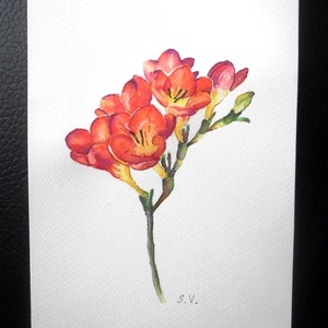 Piros frézia -  - Meska.hu