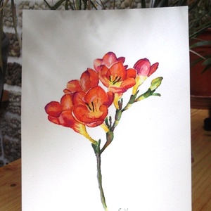 Piros frézia -  - Meska.hu