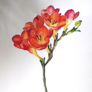 Piros frézia -  - Meska.hu