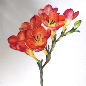 Piros frézia -  - Meska.hu